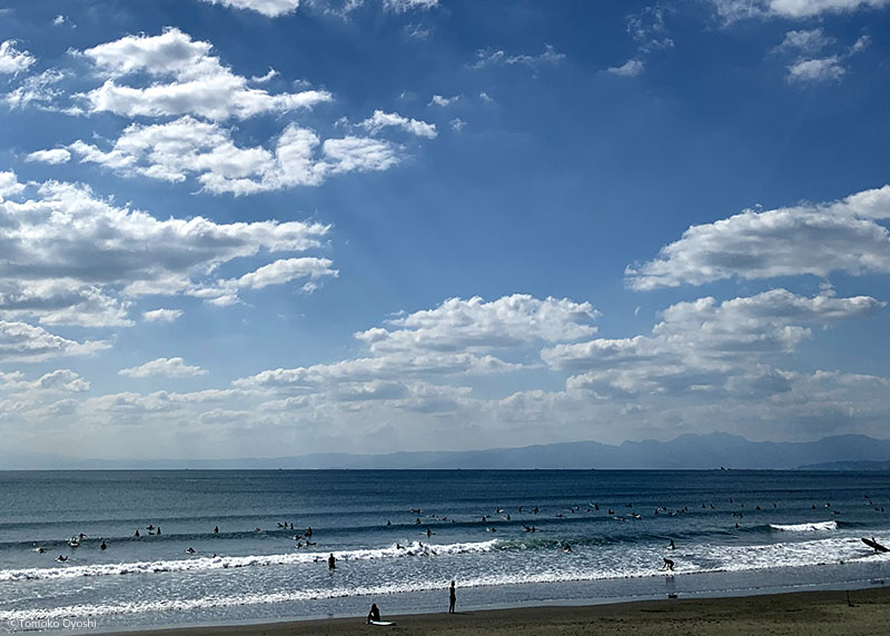 サーフィン　湘南鵠沼海岸